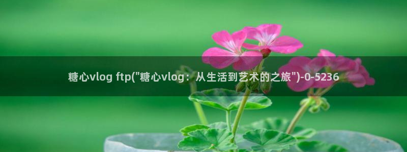 糖心vlog司雨照片