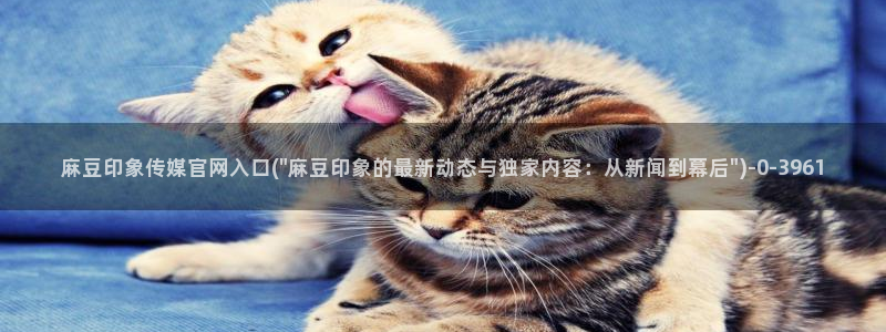 麻豆视频清晰导航