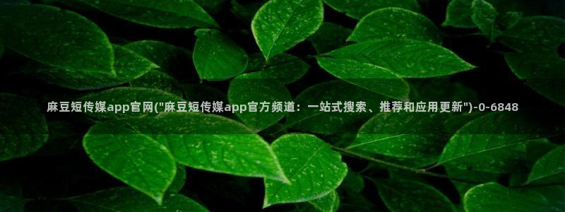 麻豆视频栏目规划