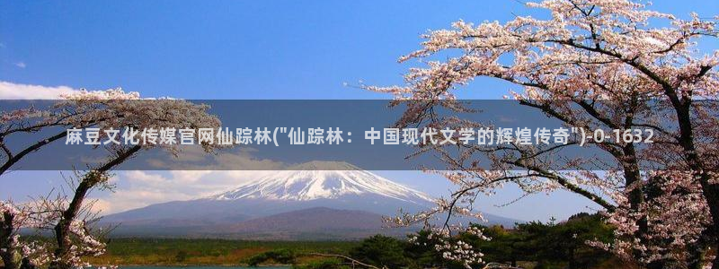 麻豆视频网