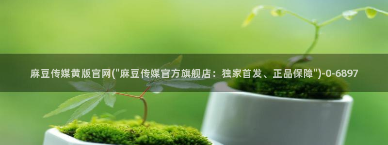 麻豆视频入口