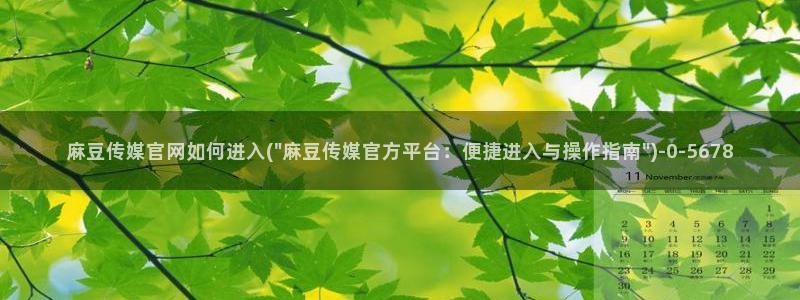 麻豆视频页面标题