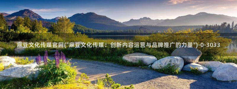 麻豆观看指南