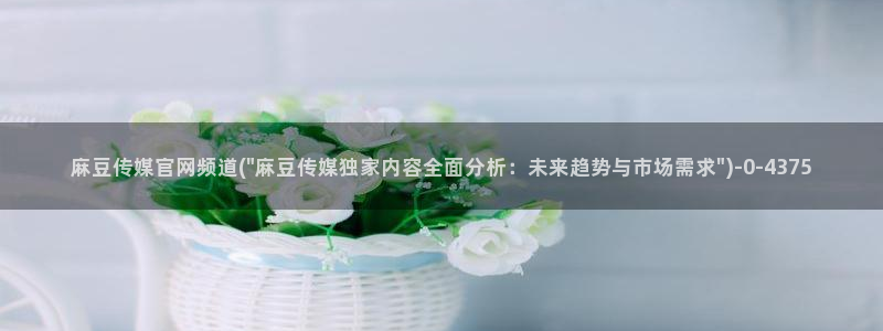麻豆资讯描述