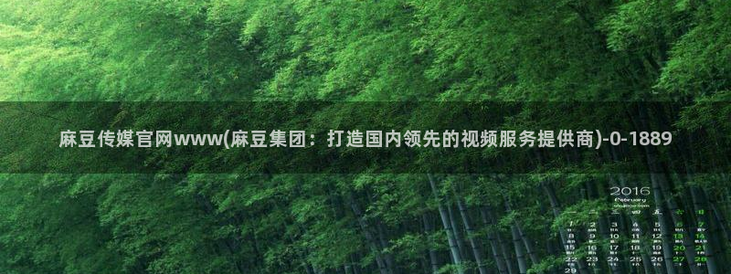 麻豆视频导航