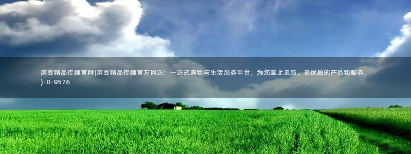 麻豆描述优化