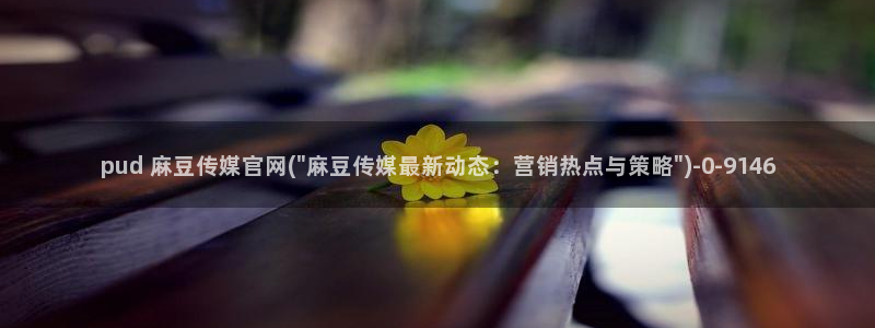 麻豆视频栏目规划