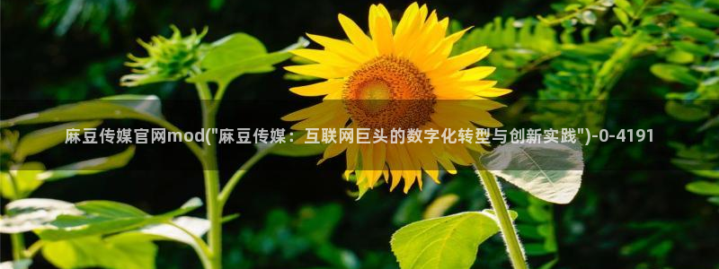 麻豆视频资讯文案
