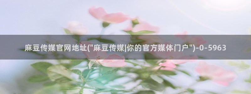 麻豆视频页面描述