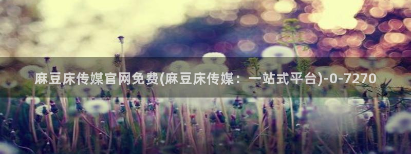 麻豆视频网站