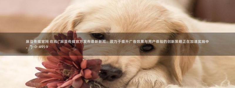 麻豆观看指南