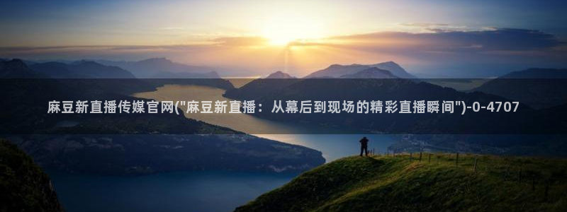 麻豆视频点评