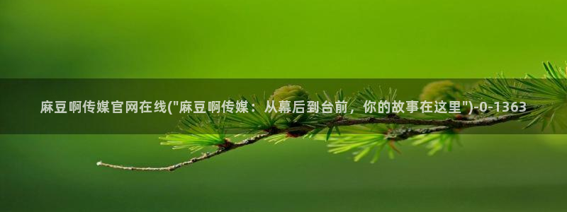 麻豆精选标题