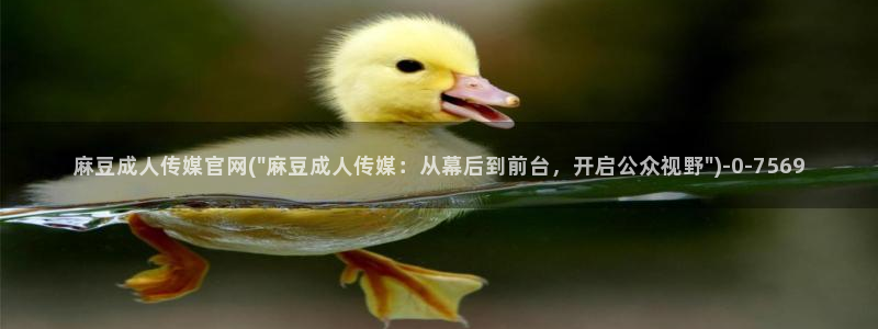 麻豆视频关于我们