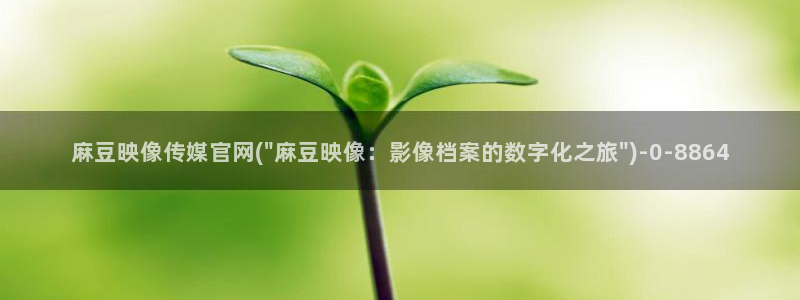 麻豆视频相关推荐词