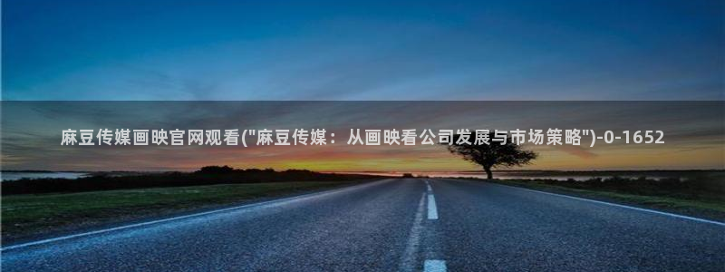 麻豆视频精准词