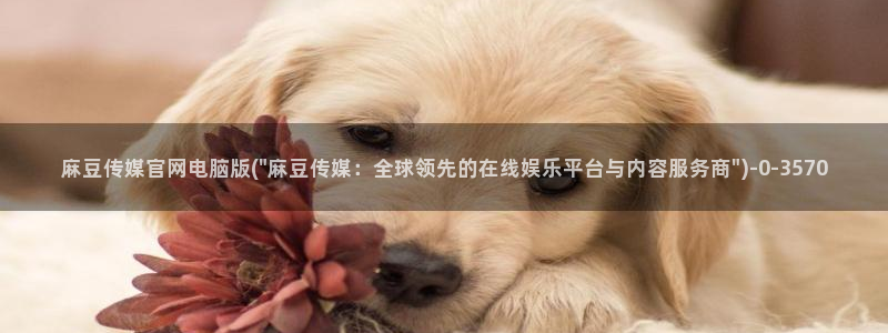 麻豆视频内容质量：麻豆传媒官网电脑版(\