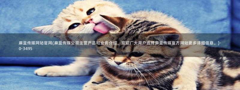 麻豆精品视频：麻豆传媒网站官网(麻豆传媒公司主营产品和业务介绍，欢迎广大