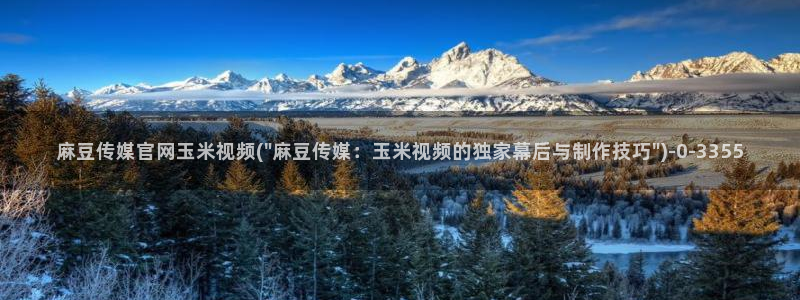 麻豆视频解说文案：麻豆传媒官网玉米视频(\