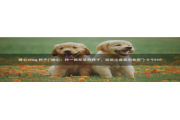 糖心vlog黄旧版下载：糖心vlog 种子(\