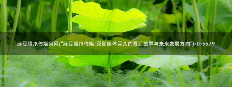 麻豆新人演员