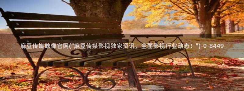 麻豆视频封面