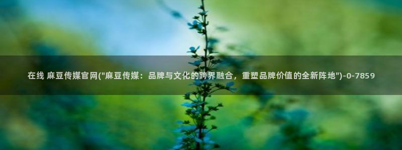 麻豆内容模板