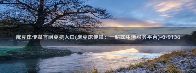 麻豆内容页
