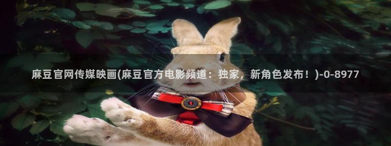 麻豆自定义库
