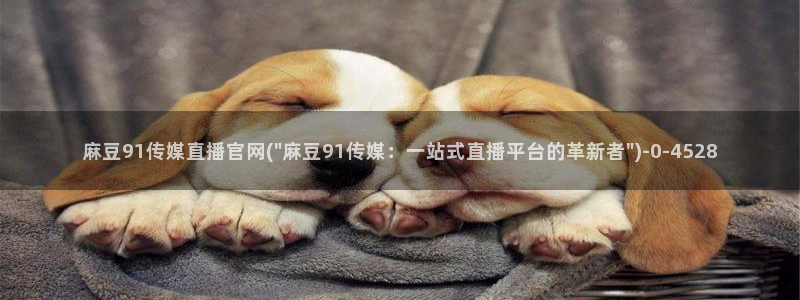 麻豆视频资源站