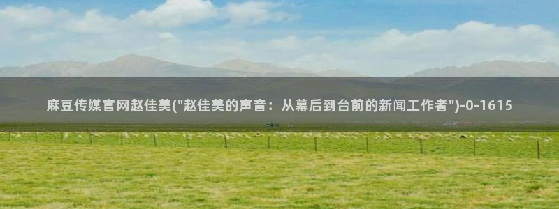 麻豆视频封面